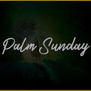 Palm Sunday Message Fr Enrique Salvo St Patrick S Cathedral