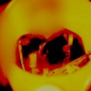 Bad Religion Part III Live 2000 War Is No Fairy Tale
