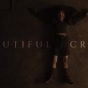 Beautiful Crime Dark