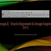 FIJI ImageJ Stack Alignment Image Registration SIFT