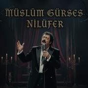 Müslüm Gürses Nilüfer 1990 S Rock Version AI Cover