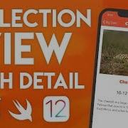 Swift 4 2 Xcode Tutorial Collection View Part 3 IOS 12 Geeky Lemon Development