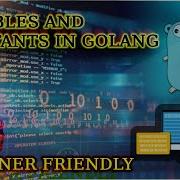 Golang Essentials Understanding Variables Constants