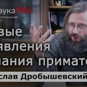 Первые проявления сознания приматов Станислав Дробышевский Лекции по антропологии Научпоп