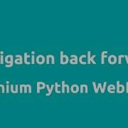 Python Selenium Navigation Back Forward Button
