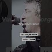 Vurgunum Muratgöğebakan Turkish Music