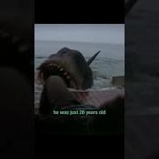 Did You Know That Jaws