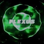 ENTRY Plexus