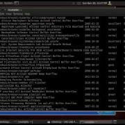 Как выполнить эксплойт на стороне клиента с помощью Metasploit и Backtrack5