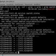 Installing And Configuring Squid Proxy Server