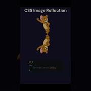 CSS Image Reflection Tutorial