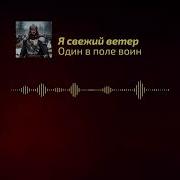 Я свежий ветер Один в поле воин