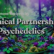 Ethical Partnerships In Psychedelics DoubleBlind
