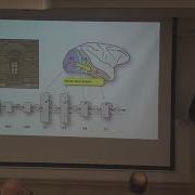 Distributed Representations Of Categorical And Relational Knowledge Haim Sompolinsky