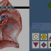 Vector Instructions