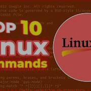 10 Linux Commands Every Developer Must Know