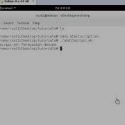How To Create A Shell Script Shell Scripting Debian Linux