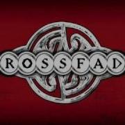 Cold Best Acoustic Version Crossfade
