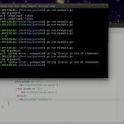 Golang Switch Statement