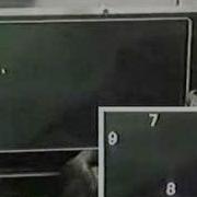 Man Vs Chimp Memory Test