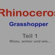 Grasshopper Einführung Teil 1