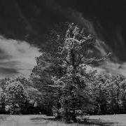 Infrared Photography And Processing