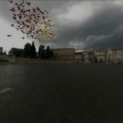 Boids Scene 2 Take 2 Weighted Alignment