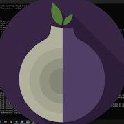 How To Setup A Proxy On The Dark Web Tor Proxy And Route Traffic Through The Dark Web