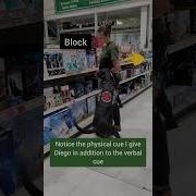 Psychiatric Service Dog Tasks Block Interruption Of Panic Attacks Public Access With Diego