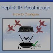 Peplink IP Passthrough How To Configure