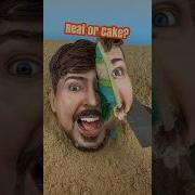 Let S Play REAL Or CAKE