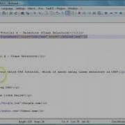 CSS Tutorial 4 Selectors Class Selectors