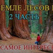 На Земле Лесов Нет феноменальные факты