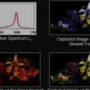 Multispectral Imaging Using Multiplexed Illumination