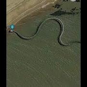 Titanoboa The World Biggest Snake Skeleton Snake Facts Cobra Animals Nature