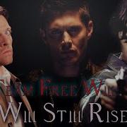 Team Free Will I Still Rise Angeldove
