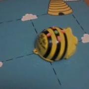 Bee Bot Track