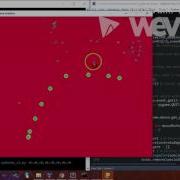 EvoBoids Boids Model And Python Simulation David C Alvarez Charris