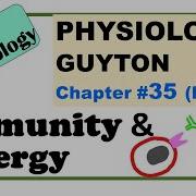 Ch 35 Part2 Physiology Guyton Immunity Allergy Acquired Immunity Lymphocytes Blood Physiology