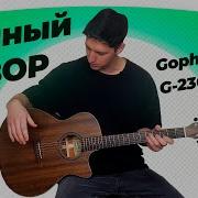 Так ли хороша гитара GopherWood G 230MC Честный обзор