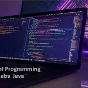 Principles Of Programming Chap 5 Java Labs 5 1 Using A Counter Controlled While Loop And Lab 5 2