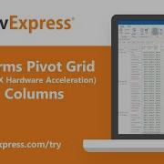 WinForms Pivot Grid Pinned Columns