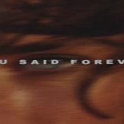 You Said Forever NM Lyric Video