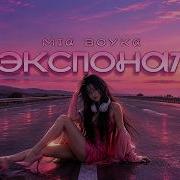 MIA BOYKA Экспонат