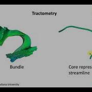 Tractometry Part 1 Introduction To Tractometry And BUAN