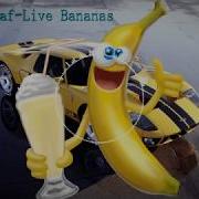 KanRaf Live Bananas