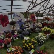 Spring Trials Visit With Manfred From Westhoff