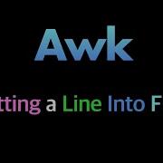 How To Split Lines Into Fields On Linux Using Awk