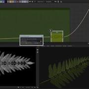 Substance Designer Fern Material Timelapse
