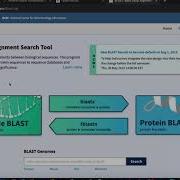 Анализ результатов последовательности генов с помощью BLAST